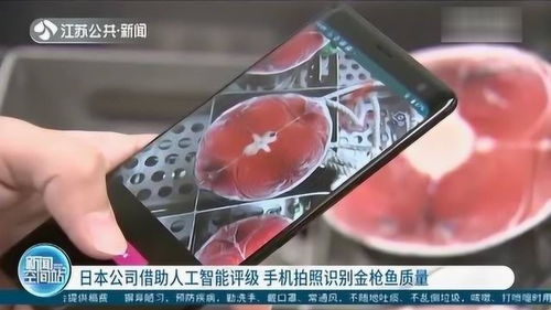 日本公司研發人工智能評級系統 用手機拍照識別金槍魚質量，引領AI應用軟件開發新浪潮